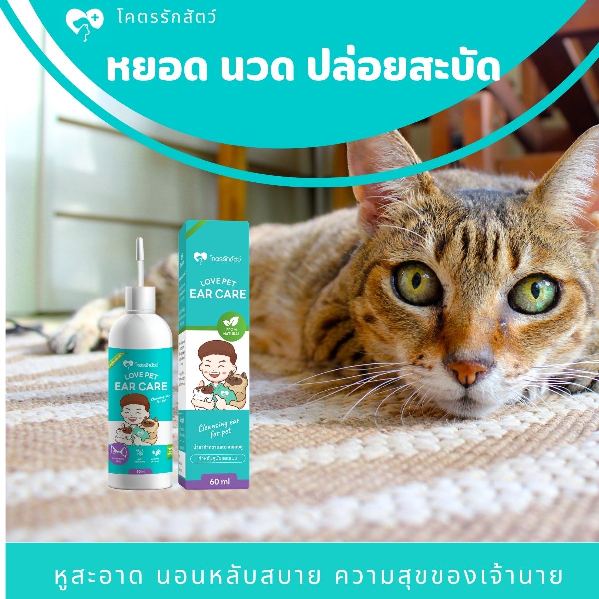 ผลิตภัณฑ์ทำความสะอาดช่องหู สัตว์เลี้ยง ขนาด 60 มล. (1กล่อง)